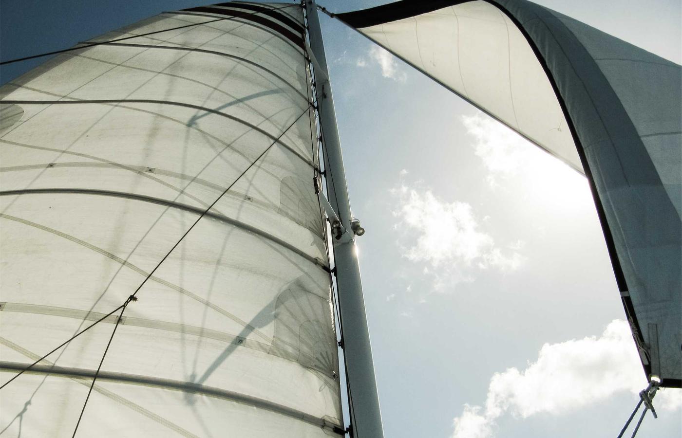 Portrait of Dr. David Chen